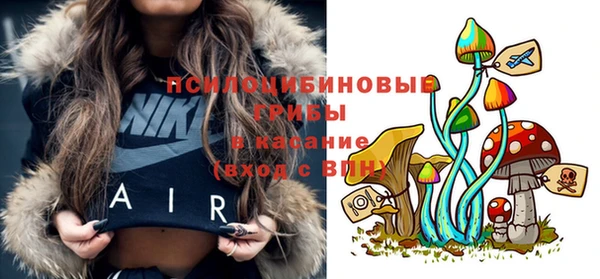 спайс Алзамай